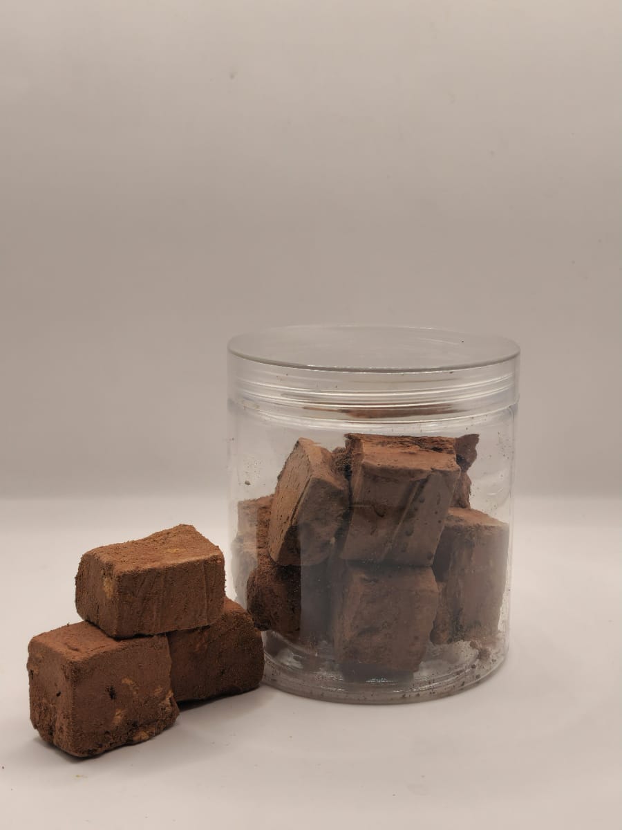 بوظة شوكولا مجففة بالتبريد ٥٠ غ